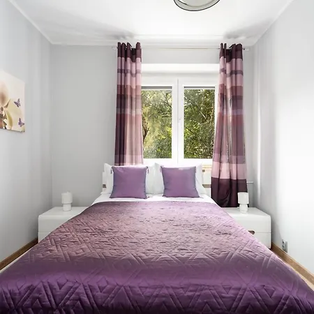 Good Mood In Center By Renters